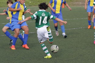 开云真人体育娱乐-史诗级逆转战：从落后20分到胜利！，逆转结局是哪一套史诗